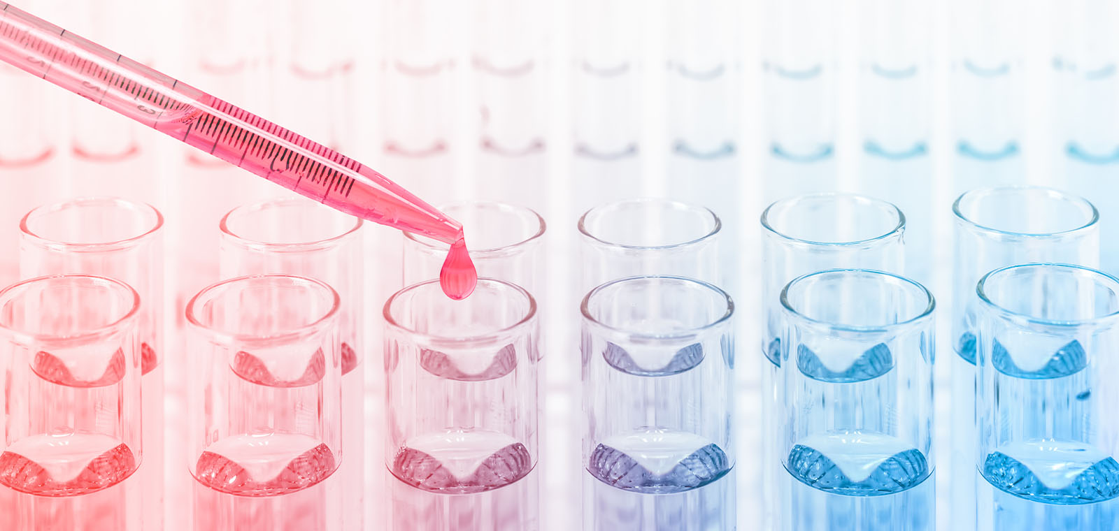 Outlook 2023 Finding Equilibrium AB