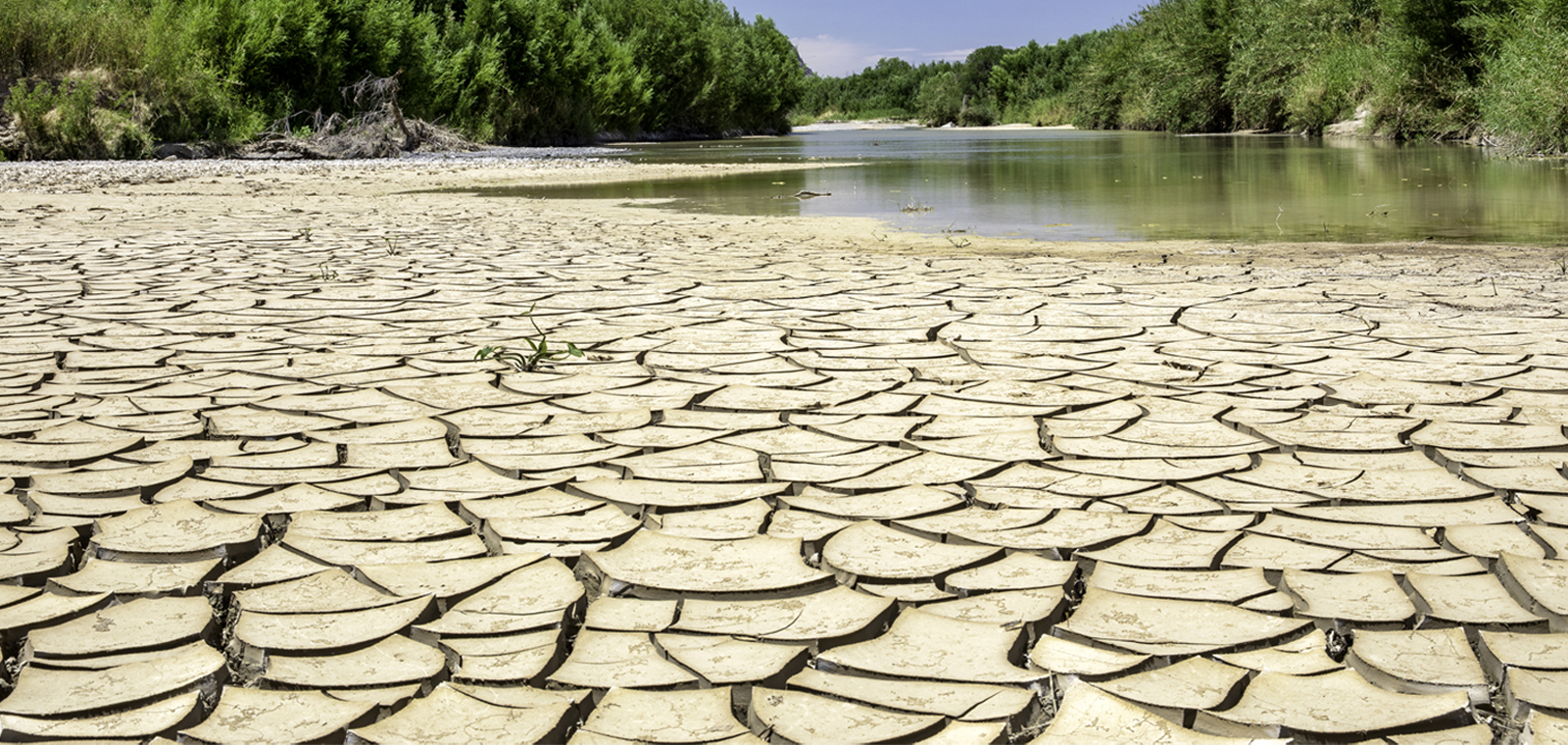 Mud cracks near the Rio Grande River in Big Bend National Park, Texas.